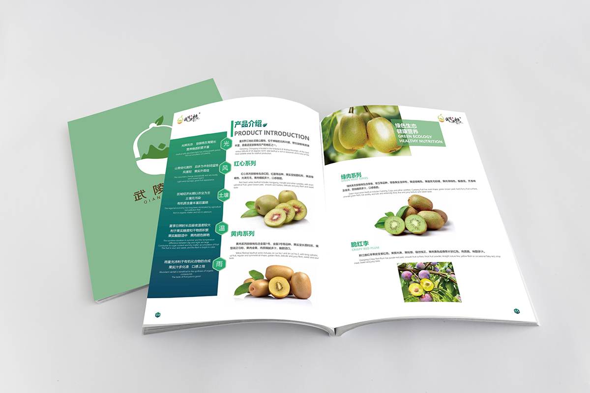  常州宣传册设计  