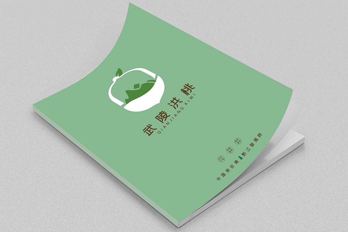 土特产水果产品宣传册